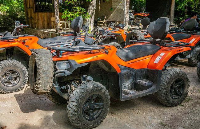 ATV-Schildkröten und Cenote - Foto 3