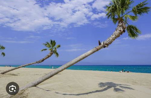 Appartement avec terrasse Saint Laurent de la salanque - Foto 15