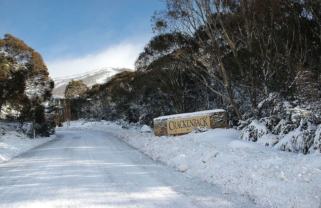 Wintergreen 3 - Photo 12