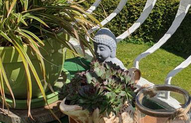 Villa Seeschwalbe Plau - Foto 7