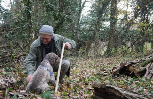 Cascina Arcangelo Raffaele - Foto 50