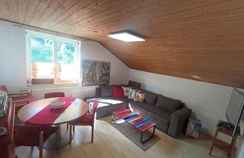 Große Ferienwohnung 4 Zimmer Kirchberg-Schönberg Bayerischer Wald 1-8 Personen - Foto 1