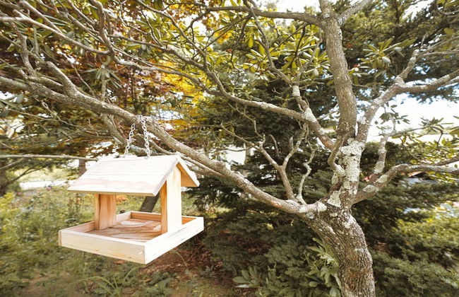 MAPLE FARM - Foto 25