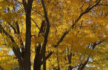 Chasing Sunsets and Serenity - Foto 34