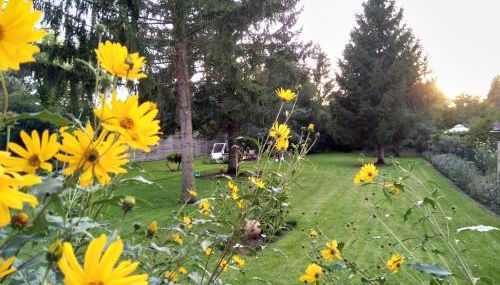 2-Zimmer-Ferienwohnung 55 qm, bei Berlin - Foto 5, Garden, Garden view