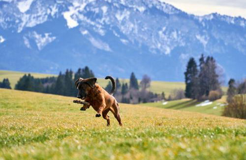 Ferienwohnung Griabig - Foto 33