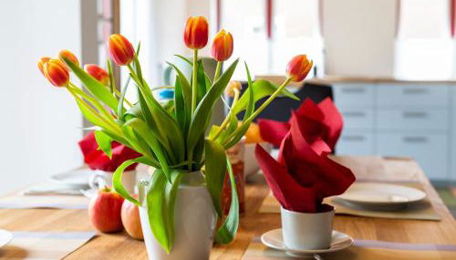 Reetdachkate Ekenis - Foto 2