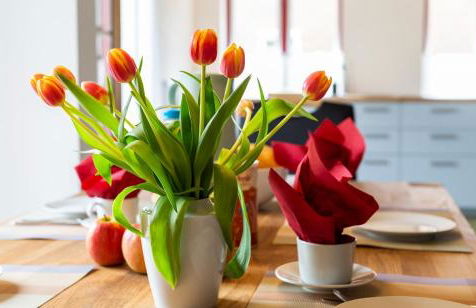 Reetdachkate Ekenis - Foto 2