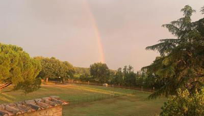 Casale Collecchio Siena - Foto 5