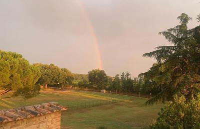 Casale Collecchio Siena - Foto 5