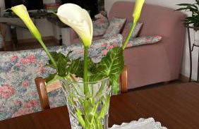 Dimora Valpantena Luminoso appartamento - Foto 42