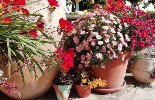 Agroturisme MAS CAN FONT - Foto 36