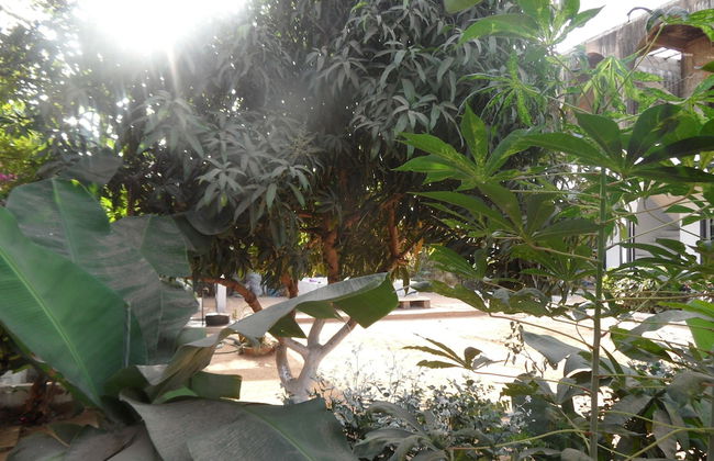 Camara Gardens Apartments with Pool - Photo 20