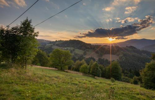 Zielona Granica - Foto 26