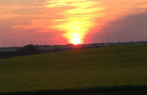 Ferienhaus Biene - Photo 71