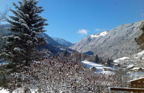 Chalet de montagne Pierre et Gaby non-fumeur hôte non professionnel - Foto 42