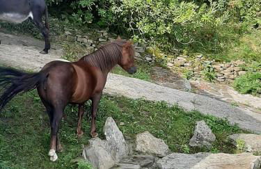 Casa Rural Haitzetxea - Foto 29