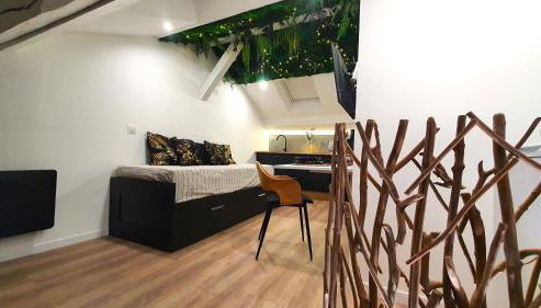 Le Green : Studio centre-ville*proche gare*parking - Foto 4