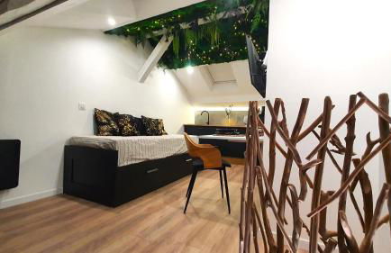 Le Green : Studio centre-ville*proche gare*parking - Foto 4