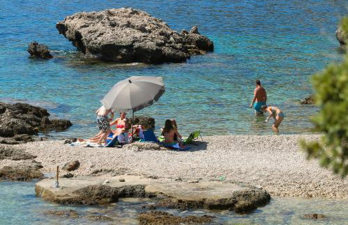 Apartments Iva Orebic - Foto 56