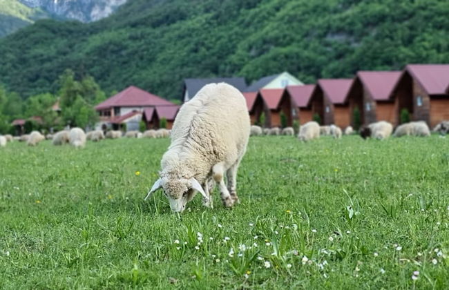 Eko Katun ROSI - oldTower - Foto 5