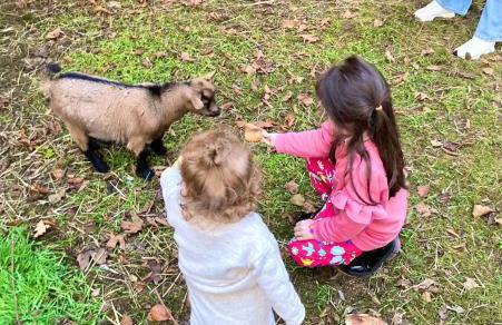 Majestic Mountain - endroit magique - 20 personnes - Foto 67