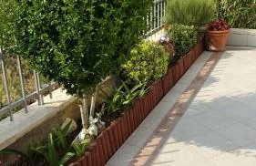 Apartments Romana - Photo 9