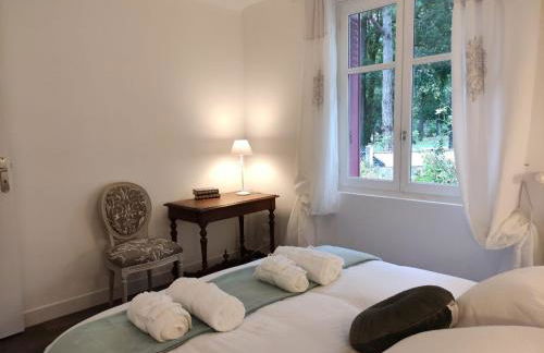 Charmante maison avec jardin en face du parc, proche commerces et attractions touristiques - FR-1-489-333 - Foto 19