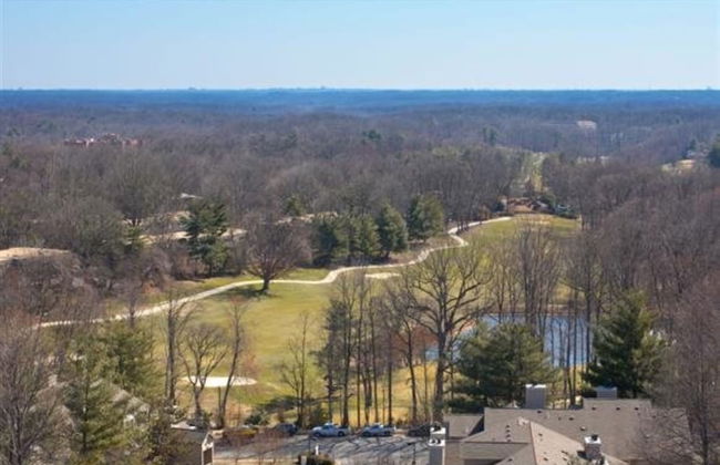 Bluebird Suites in Reston - Photo 71