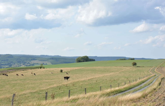 Beautiful Ardennes House in Quiet Area - Photo 29