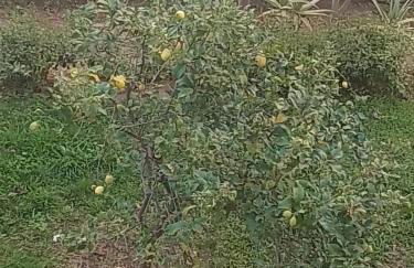 Casa dei Nonni - Foto 30