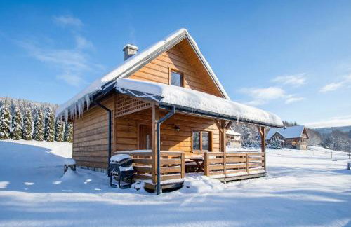 Bieszczady Żubrowe Wzgórze 785-049-543 - Foto 75