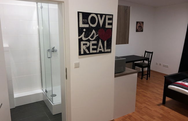 Apartment 4 Rent - Photo 8