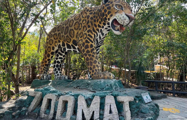 Miradores del Cañón del Sumidero, Zoomat y Cristo de Chiapas - Foto 3