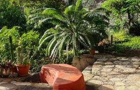 Casa Gomeron - Foto 26