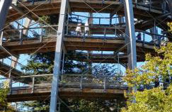 Ferienhaus Breit - Foto 3