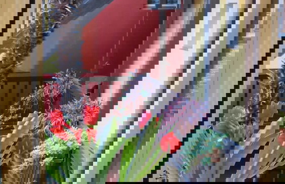 Residenza Motta - Foto 48