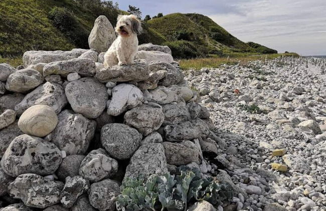 Tranquil Retreat at Overby Lyng-by Traum - Photo 14