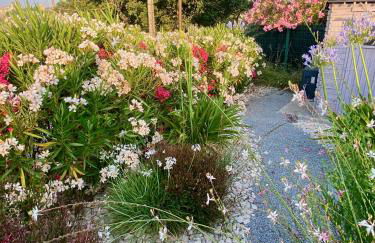 L Espantée - Foto 24