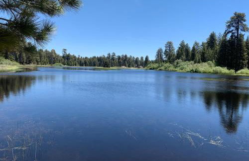 Spacious cozy chalet huge deck over seasonal creek - Foto 24