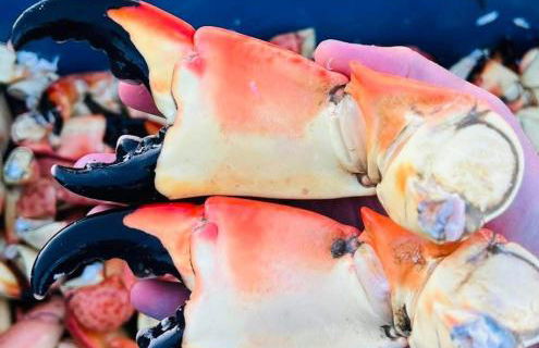 Beautiful Paradise for You - Foto 61