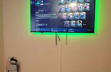 Dreamy Palms - Photo 5