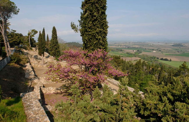Entrada al yacimiento arqueológico de Ensérune - Foto 2