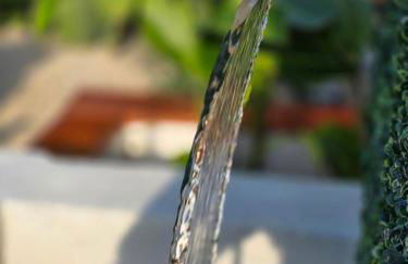 Private Retreat with Yard Near Hard Rock Stadium - Photo 26