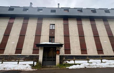 Flor de Hielo - Photo 11