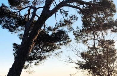 Vue imprenable sur mer- La perle de Saint Pierre La Mer - Foto 40