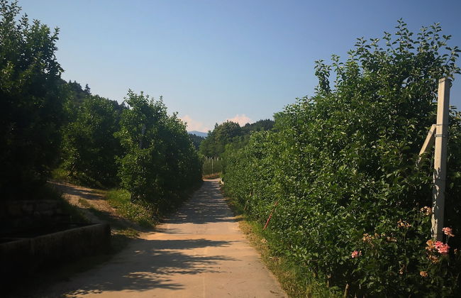 Casa in tipico Maso, tra natura e tradizione - Foto 30