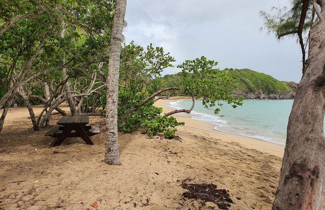 Studio abricot 309 - Photo 14