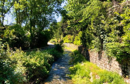 This is my happy place - Photo 51