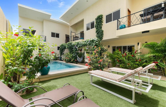 Pierre and Colors TAMARINDO Adult Only - Foto 80